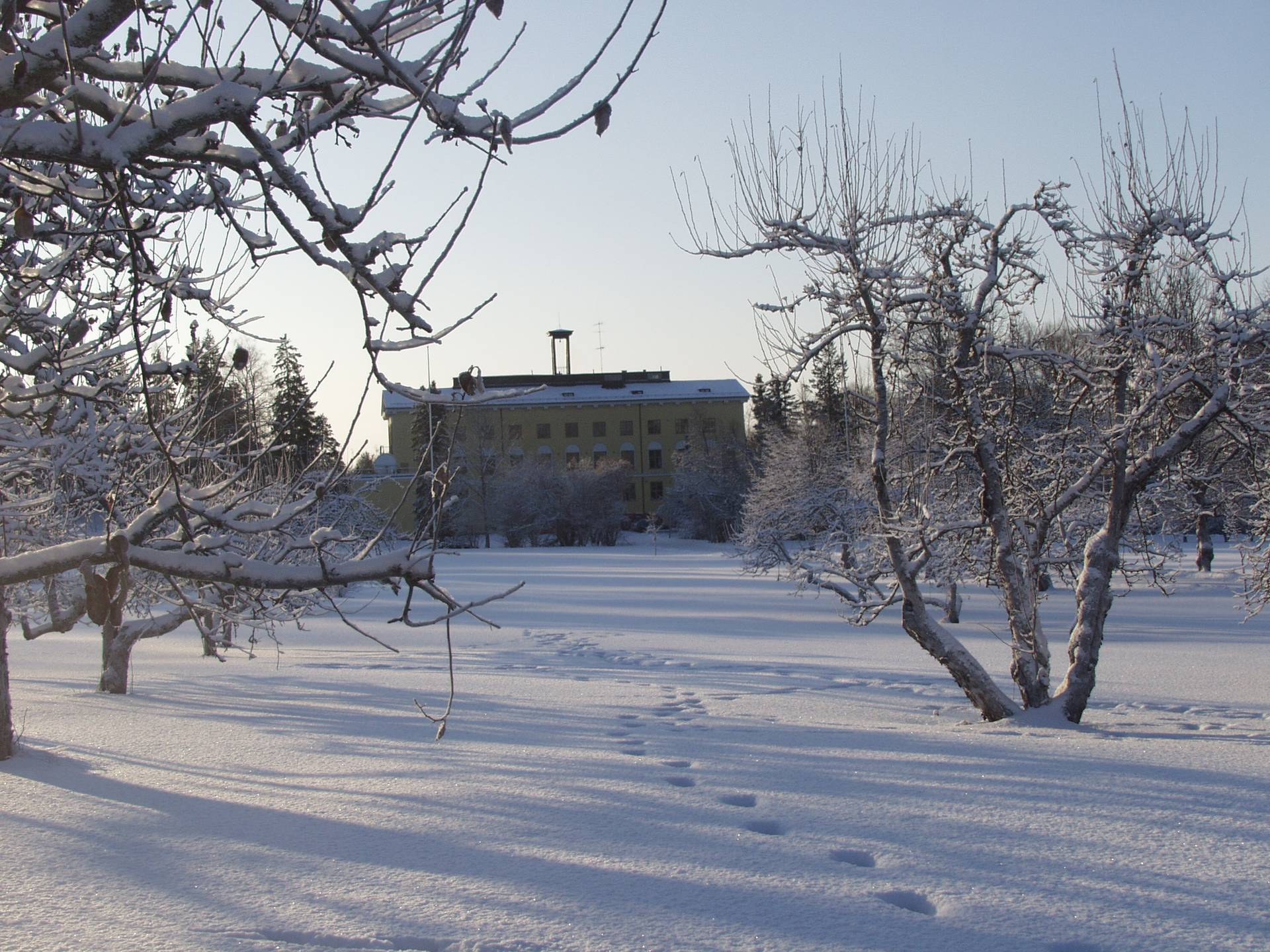 Talvinen maisema Opetusravintola Paatelan edustalta. 